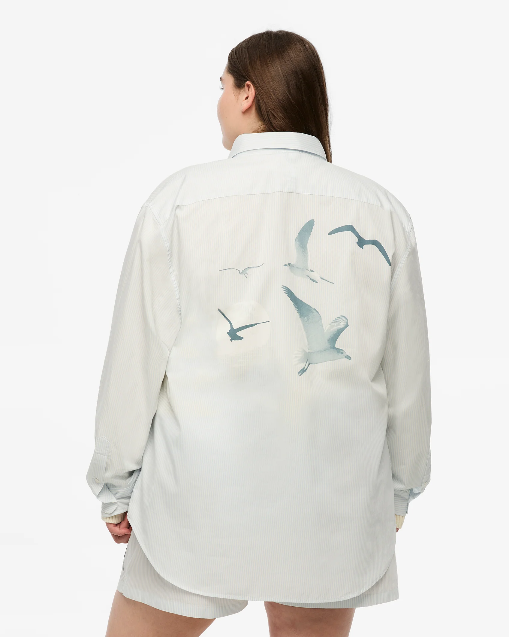1989 (Taylor’s Version) Seagull Blue Stripe Poplin Shirt - Image 10