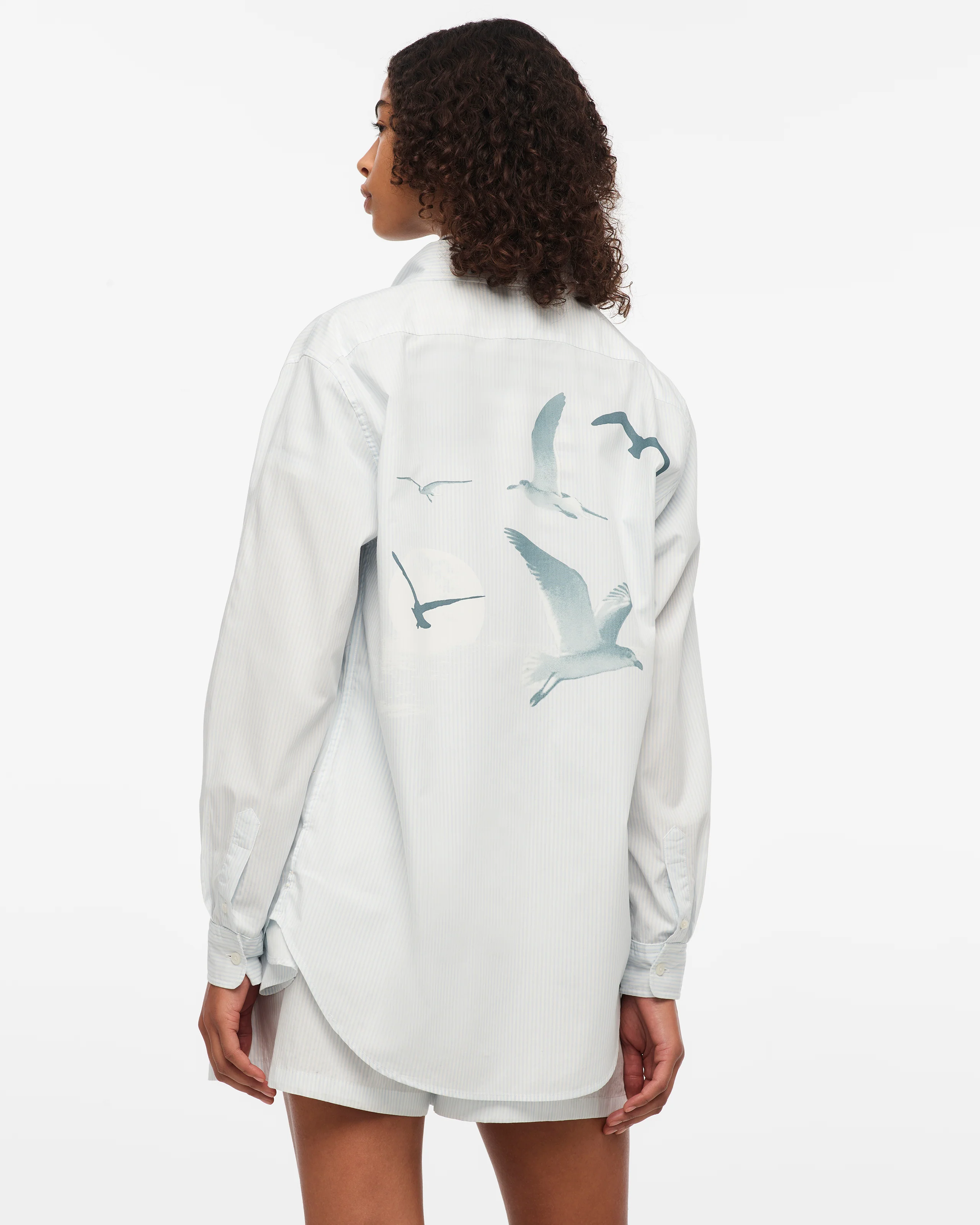 1989 (Taylor’s Version) Seagull Blue Stripe Poplin Shirt - Image 4