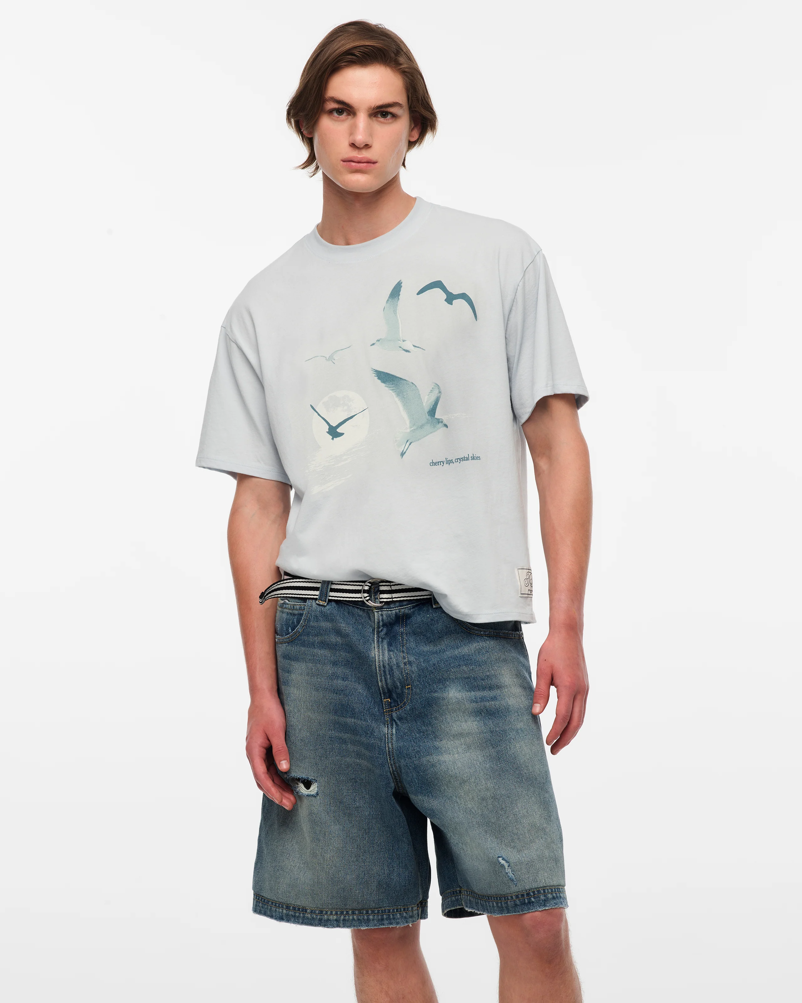 1989 (Taylor’s Version) Seagull Boxy T-Shirt - Image 4